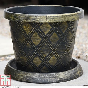 Black & Gold Patio Pot