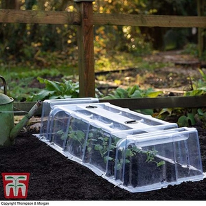 Mini Greenhouse Cloche