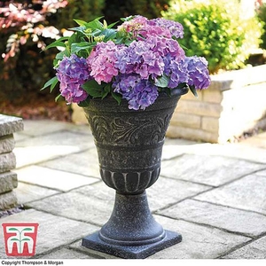 Tall Urn Planter