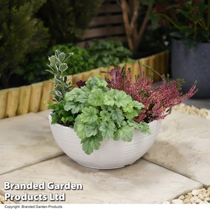 Bayadere Bowl Planter Light Grey