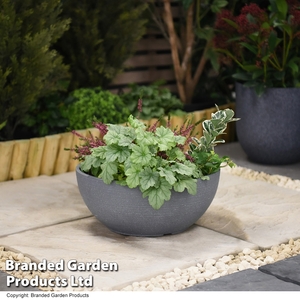 Bayadere Bowl Planter Dark Grey