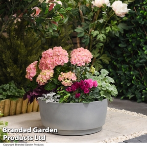 Caesar Concrete Effect Bowl Planter